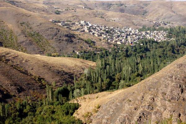 برگزاری تور گردشگری ویژه خبرنگاران و عکاسان در تربت حیدریه برگزاری تور گردشگری ویژه خبرنگاران و عکاسان در تربت حیدریه